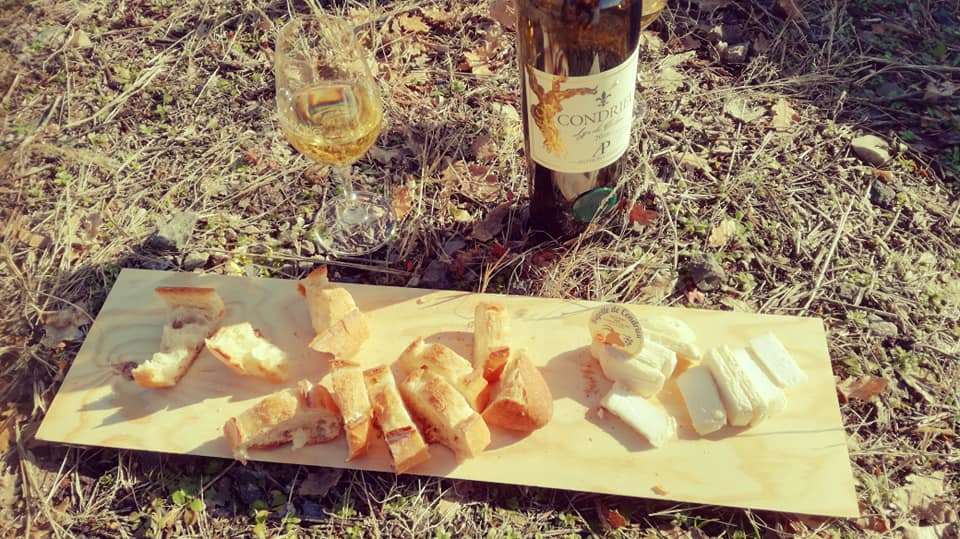 Dégustation condrieu au milieu des vignes...
