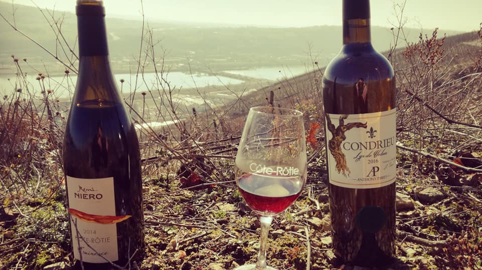 Vignes cote roti et condrieu